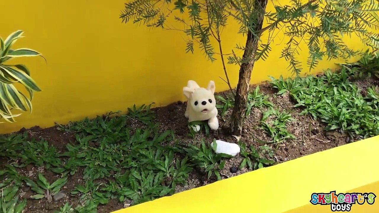 Pet PUPPIES POOP in our house!! - Skyhearts dog puppy toys for kids pooped with toddler animals