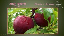 Fruit names with pictures in English & Hindi for children
