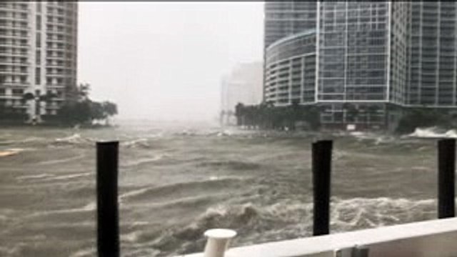 Fuerza de huracán Irma en su paso por Florida