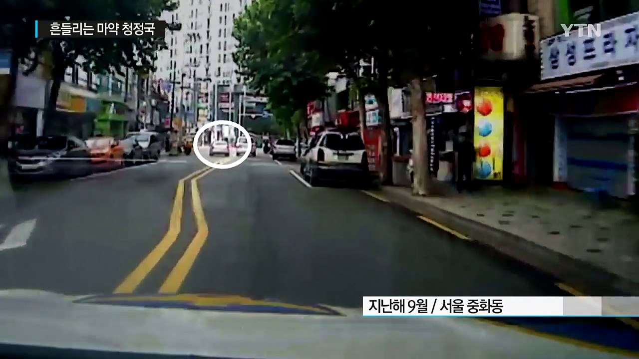 마약류 사범 역대 최다...청정국 '흔들' / YTN