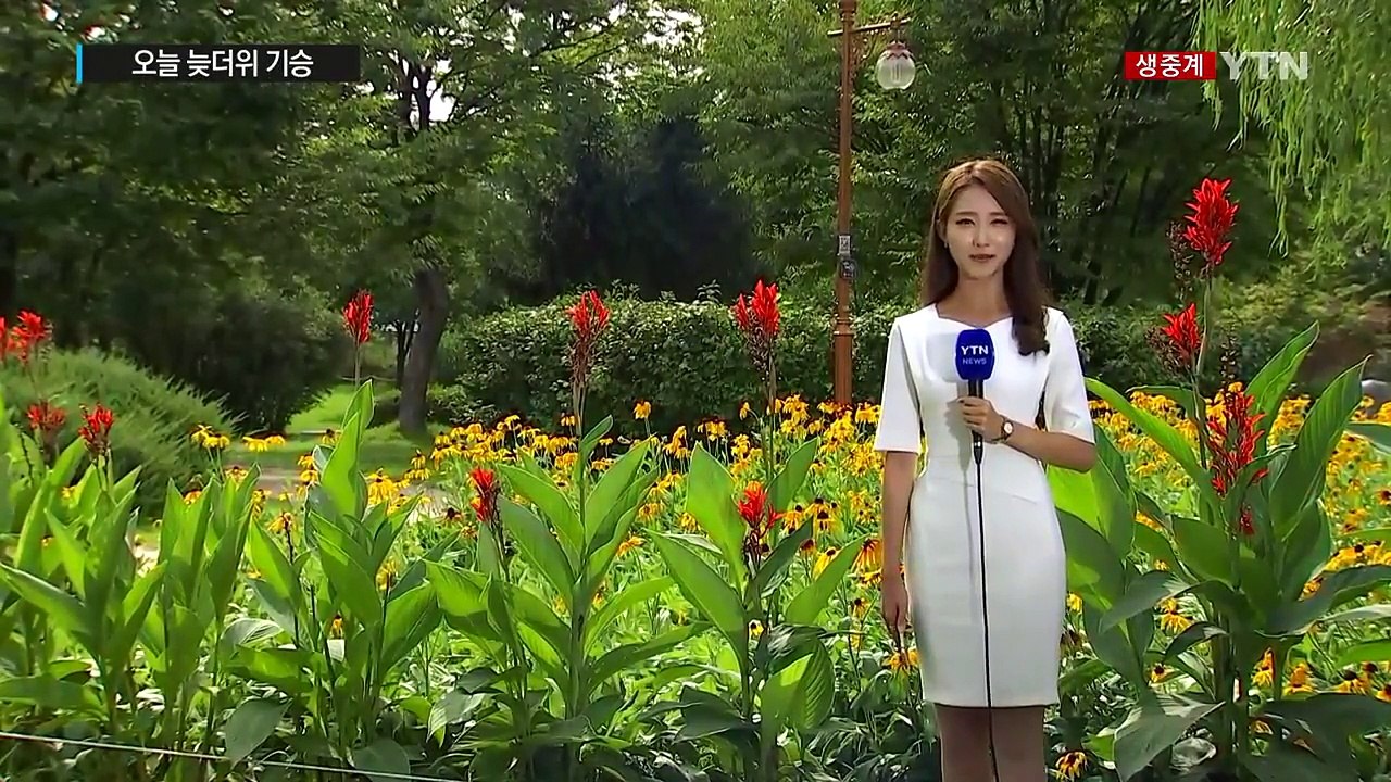 [날씨] 오늘 늦더위 기승... 내일부터 가을비, 더위 주춤 / YTN