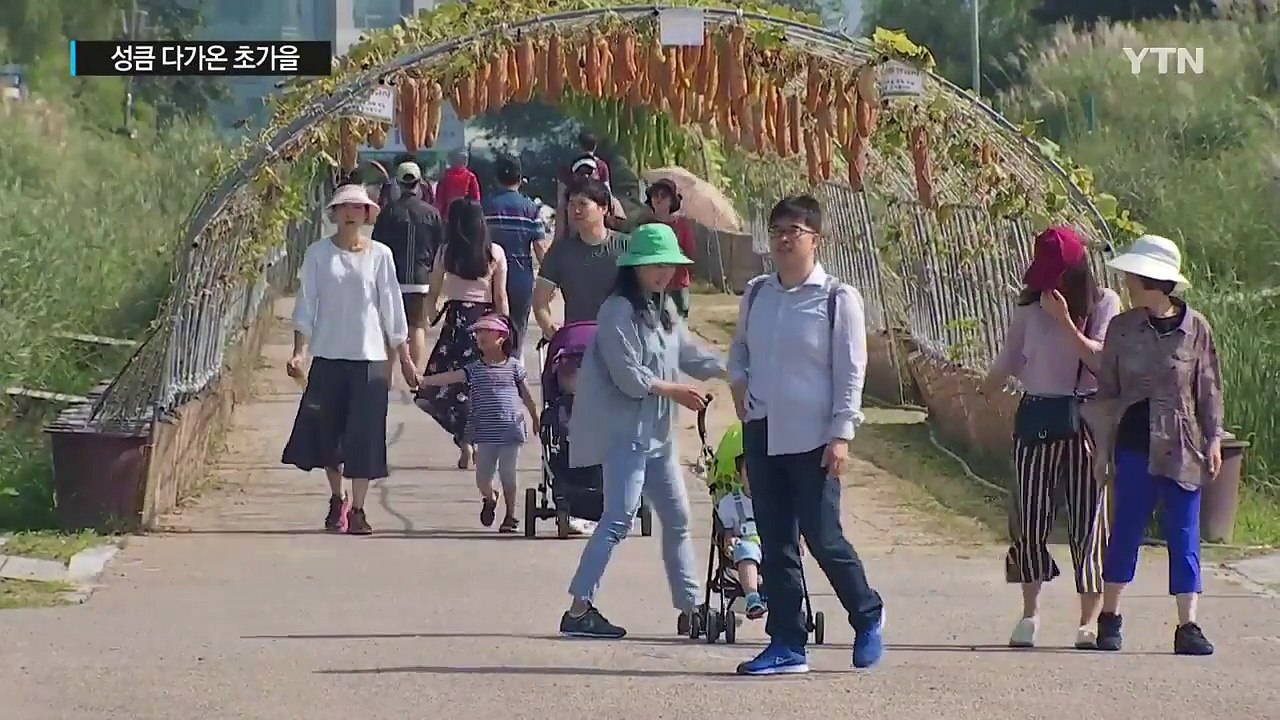 [날씨] 초가을 성큼,  강한 자외선 방심은 금물 / YTN