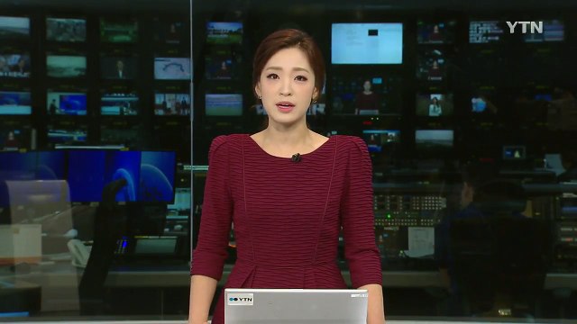 김정숙 여사, 美 메릴랜드 주지사 한국계 부인 접견 / YTN