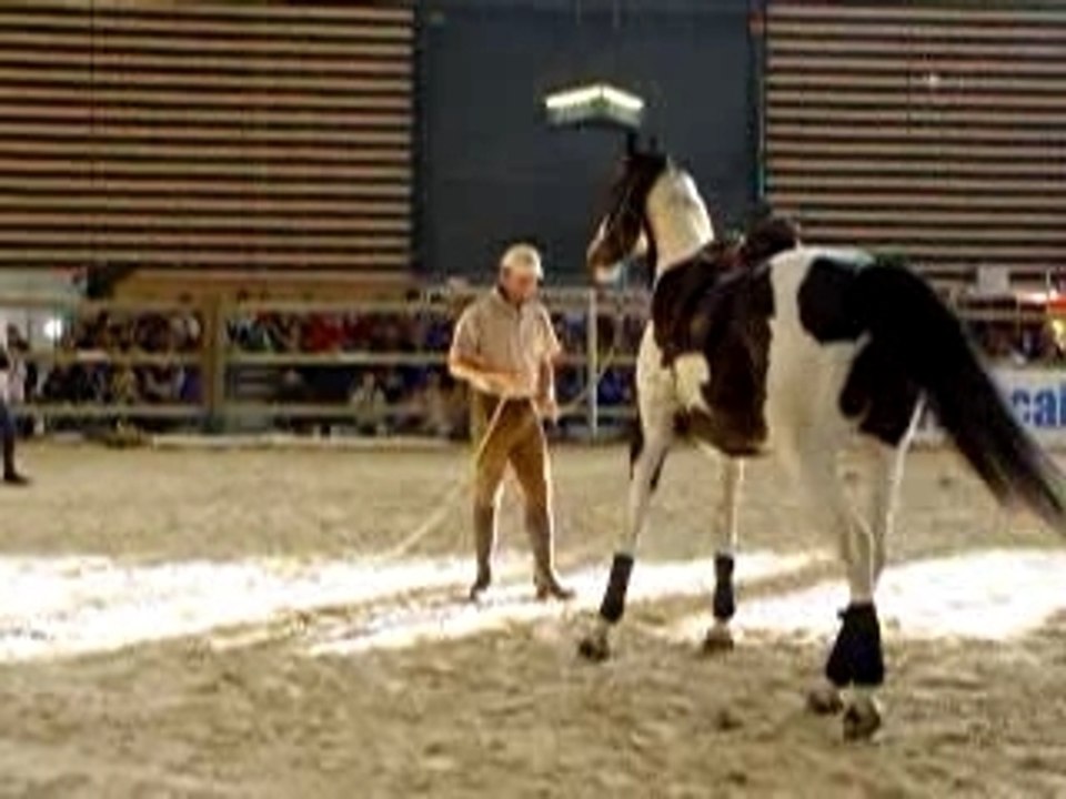 Andy Booth et Catapulte de Michel Robert