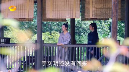 楚乔传 Princess Agents 67 (大结局下)【先行版】 赵丽颖 林更新 窦骁 李沁主演 HD