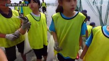 [영상] 인천 해변서 국제적 멸종위기종 상괭이 발견...관광객이 구조 / YTN
