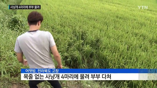 사냥개에 물려 부부 다쳐...뺑소니 차량에 70대 숨지기도 / YTN