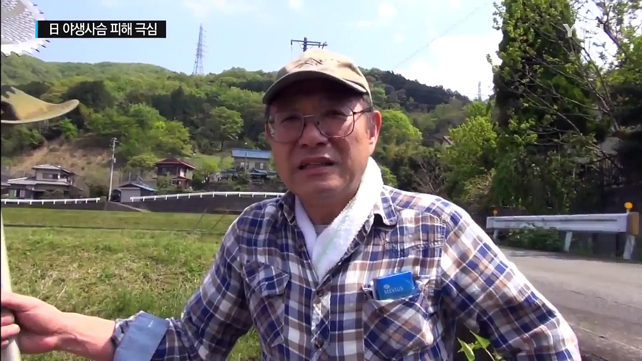 日, 야생 사슴 피해 극심..."산 모양까지 바꿔" / YTN