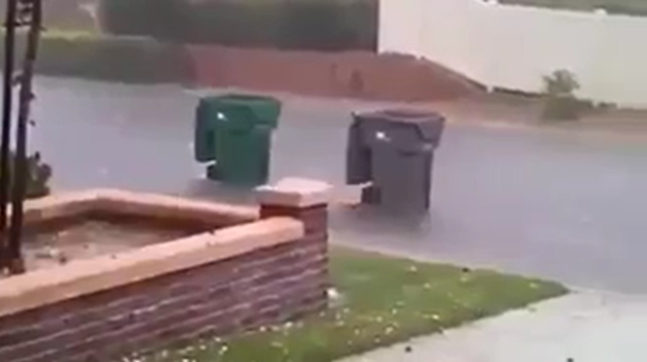 Hurricane Irma Garbage Cans Race Vidéo Dailymotion