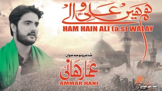 AMMAR HANI, Album 2017-18 [01. Hum Hein Ali (A.S) Walay] - HD