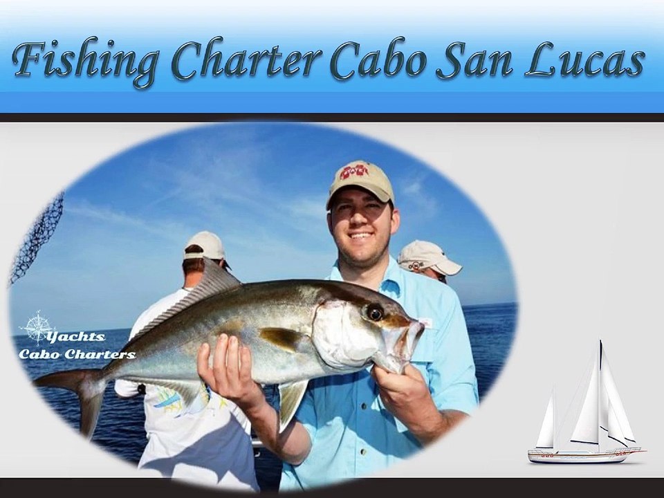 Yachts Cabo Offers You An Unforgettable Experience When You Use Services