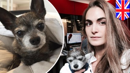 Woman sells all her things to pay for pet's life-saving surgery