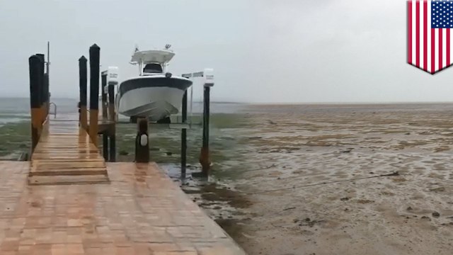 Hurricane Irma literally sucked some beaches dry