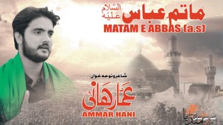AMMAR HANI, Album 2017-18 [03. Matam-e-Abbas (A.S) ] - HD
