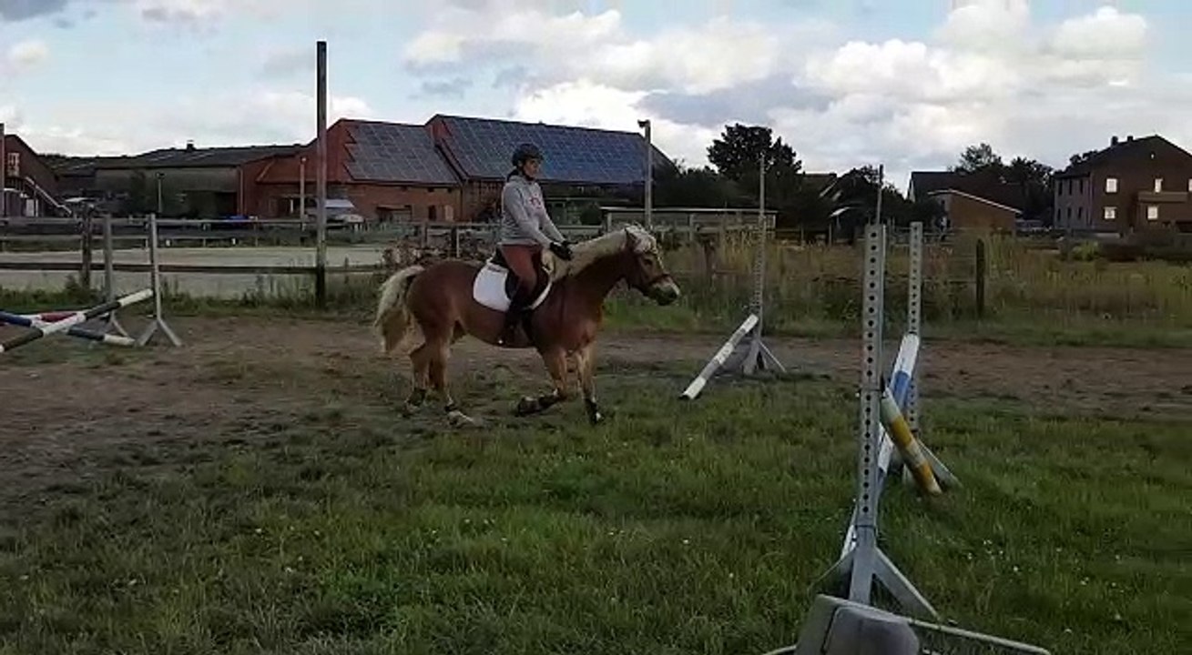 WhatsApp Video 2017-09-11 at 19.25.37