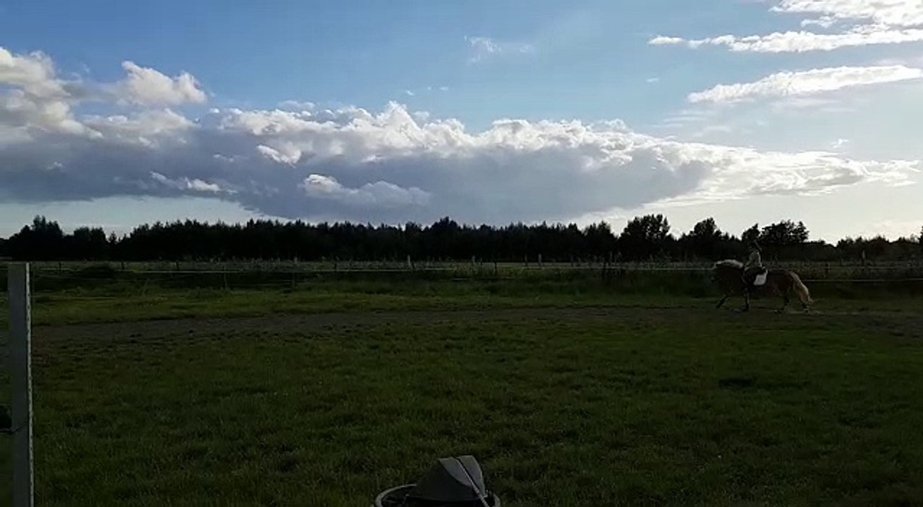 Springen 11.09.2017