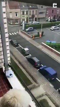 Il galère pour garer sa voiture sans permis sur une place immense... Comment c'est possible??