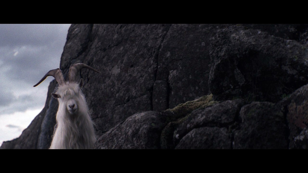 Land Rover Discovery SVX V8 Supercharged 525 PS (Francfort 2017)