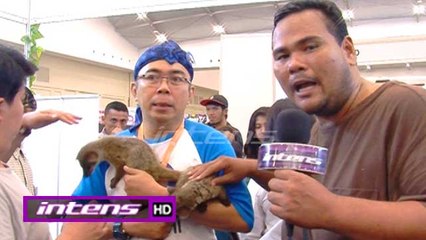 Keseruan Fahmi Bo Saat Berada di Pameran Binatang - Intens 12 September 2017