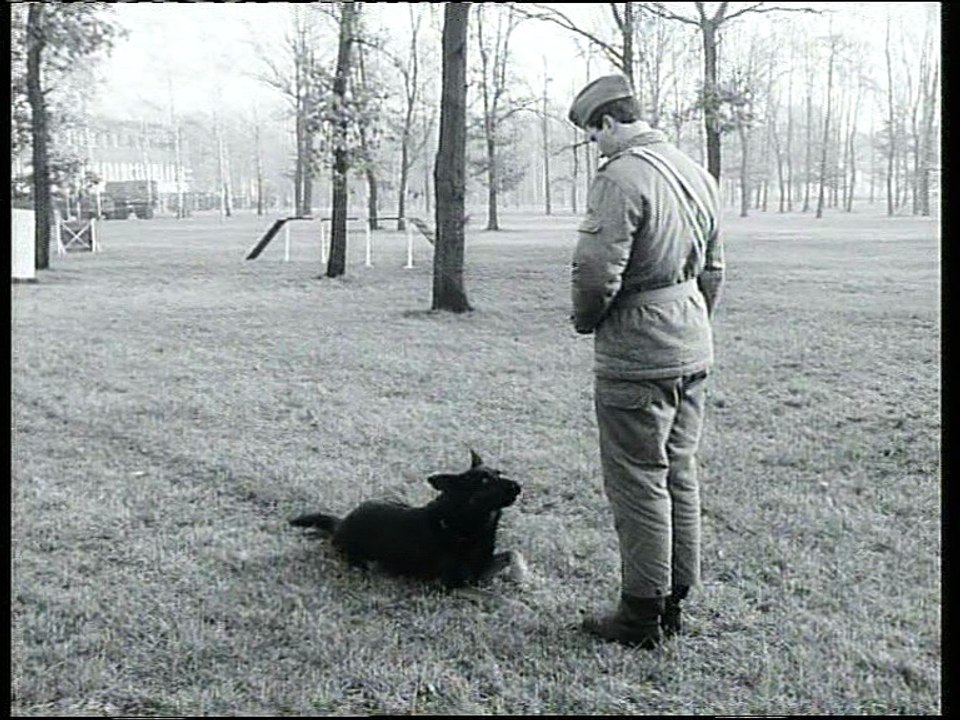 Armeefilmschau 1/1982