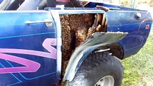 Il découpe la carrosserie de sa voiture et y découvre... un nid d'abeilles