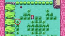 Top 10 Patches of Grass in Pokémon!