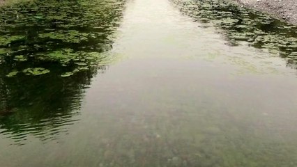 People and  Power - New Zealand, Polluted Paradise P2 promo