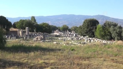 Lagina Kutsal Alanı'nda Kazı Çalışmaları Yeniden Başladı