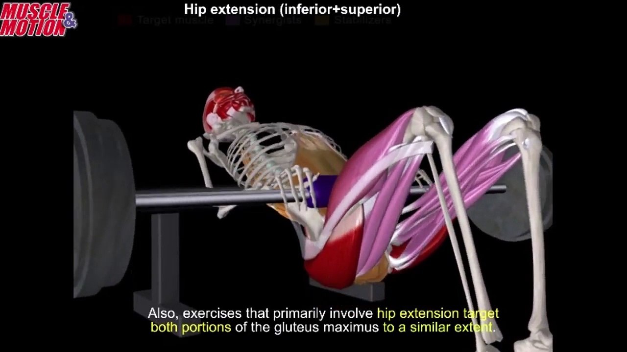 3 в 1. Упражнение для девушек (ЯГОДИЦЫ), о котором ВЫ НЕ ЗНАЛИ! (Эспандер. Включаем ягодичные)