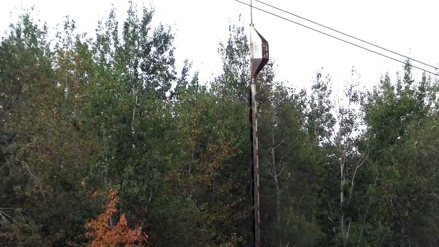 Trimming trees by power line with helicopter (Colby,WI)