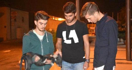 Vicdansız Sürücü, Çarptığı Yavru Köpeğin Üstünden Geçerek Kaçtı