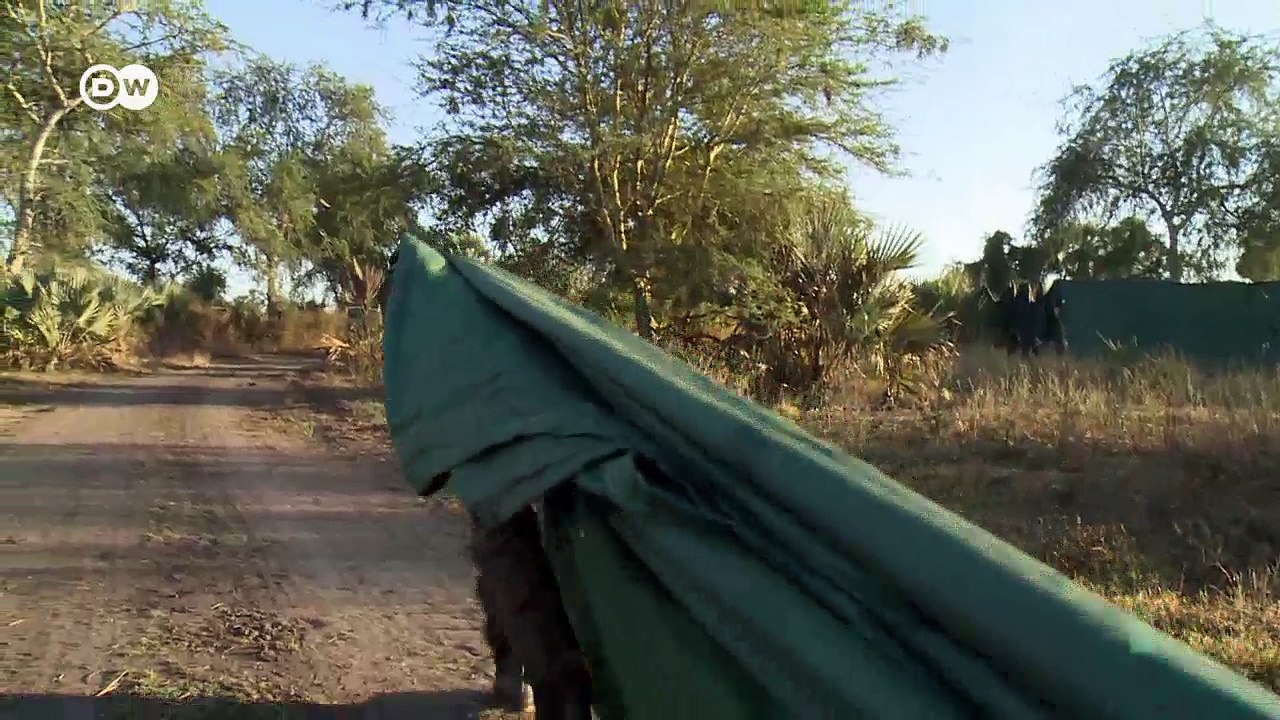 Arche Noah 2.0 in Mosambik | DW Deutsch