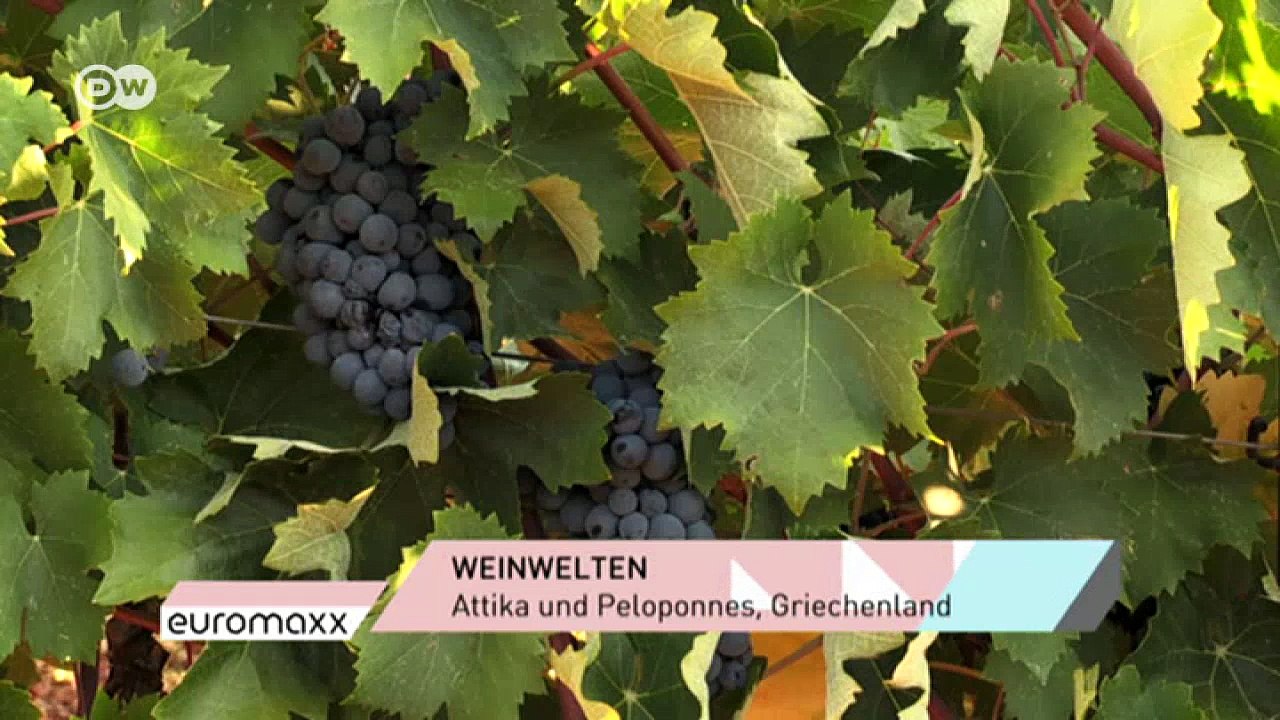 Neue Winzer aus Griechenland | DW Deutsch