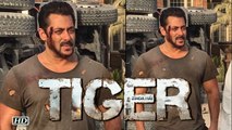 BRUISED Salman Khan on ‘Tiger Zinda Hai’ set