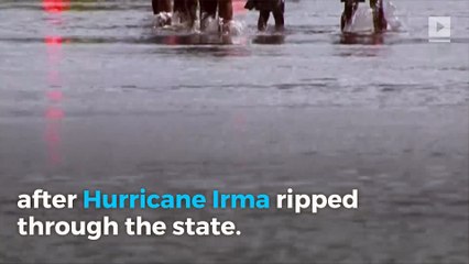 More than 12 million people stranded without electricity in Florida