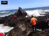 POR ESTA Y MUCHAS RAZONES AL MAR SE LO RESPETA DESAFIAN AL MAR Y ESTE LES RESPONDE CON SU AUTORIDAD