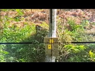 How to use mildot/cara menghitung jarak dengan telescope mildot