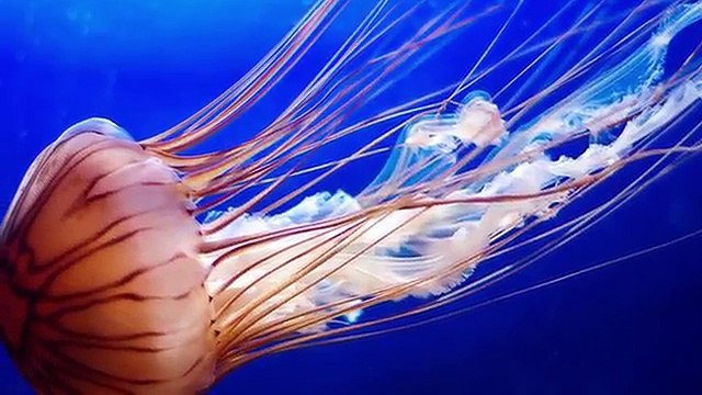 15 ЗАБЛУЖДЕНИЙ, В КОТОРЫЕ ВЫ ВЕРИТЕ