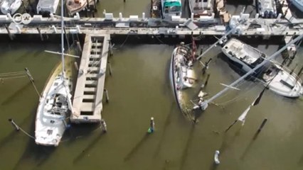 Irma Kasırgası sonrasında Florida