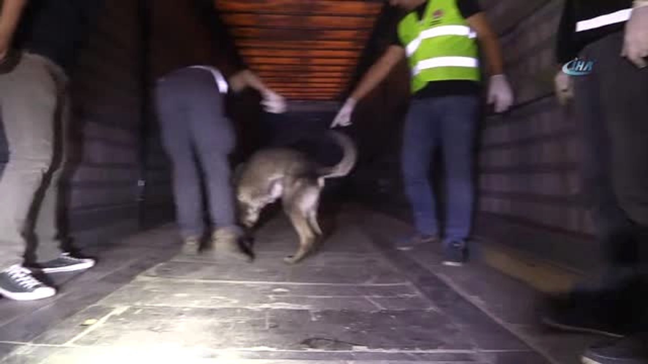 Gümrük Muhafaza Ekipleri Uyuşturucuya Geçit Vermiyor