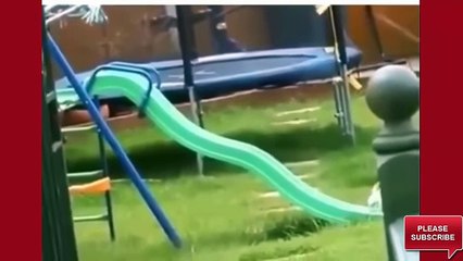 New Funniest Video 2017  Best Funny Videos Ever - Top 10 Crazy Funny Videos  Try Not to Laugh
