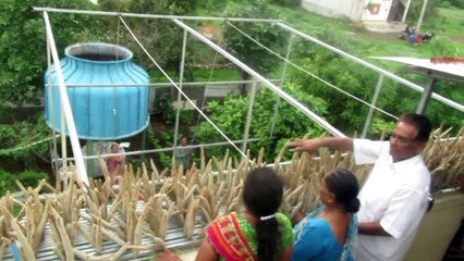 #هندي يطعم 3 آلاف طائر يوميًا منذ 17 عامًا