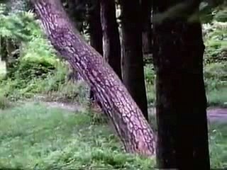 온라인바카라사이트주소▷▷ＬＯＵ８２。ＣＯＭ◁◁토토적중률