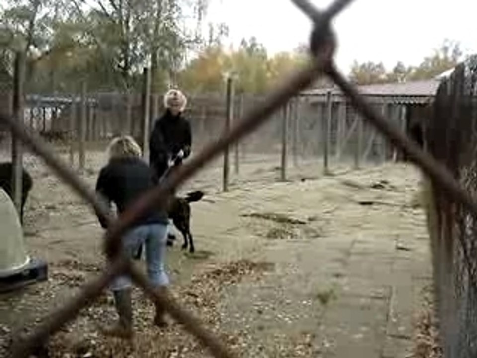 DOM PREND PHOTOS MOV00488