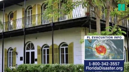 La maison aux 54 chats de ce très grand écrivain a résisté à Irma telle une forteresse