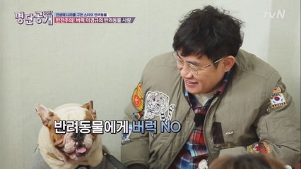 버럭 경규! 내 모든 사랑을 ′견(犬)′에게~♥