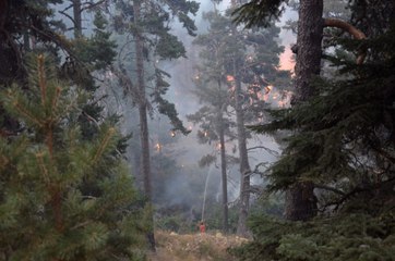 Kütahya'da Çıkan Orman Yangını Bilecik'e Ulaştı