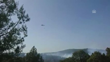 Ev Yangını Ormana Sıçradı