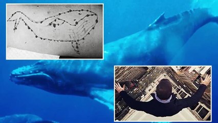 Exposed : Blue Whale Suicide Game