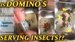 Domino's Pizza oregano sachets infested with live insects, Watch Video | Oneindia News